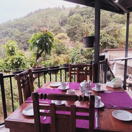 Kandy Ivy Mountain View Resort المظهر الخارجي الصورة