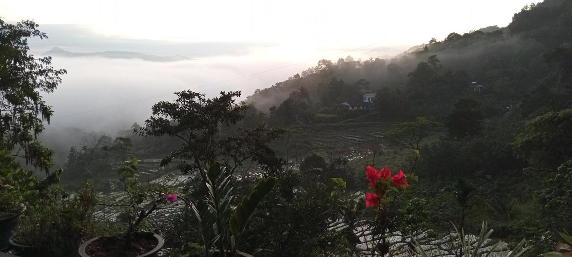 Kandy Ivy Mountain View Resort الغرفة الصورة