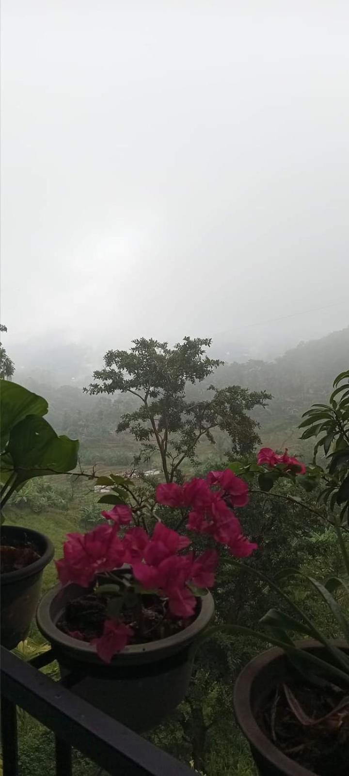 Kandy Ivy Mountain View Resort المظهر الخارجي الصورة